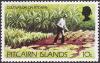 Colnect-2284-193-Cultivation-on-Pitcairn.jpg