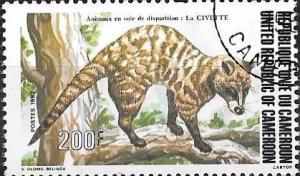 Colnect-2544-960-African-Civet-Civettictis-civetta.jpg