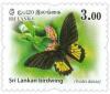 Colnect-4978-110-Sri-Lankan-birdwing.jpg