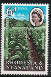 STS-Rhodesia-Nyasaland-1-300dpi.jpeg-crop-339x515at557-2579.jpg