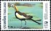 Colnect-3414-603-Pheasant-tailed-Jacana-Hydrophasianus-chirurgus.jpg