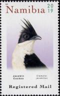 Colnect-5843-763-Jackobin-Cuckoo.jpg