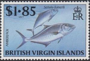 Colnect-3075-117-Amberjack-Seriola-dumerili.jpg