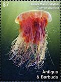 Colnect-6446-210-Lion-s-Mane-Jellyfish-Cyanaea-capillata.jpg