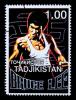 Bruce_Lee_2000_Tajikistan_stamp1.jpg