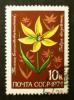 Soviet_stamps_1974_10k_Tulipa_dasystemon.JPG