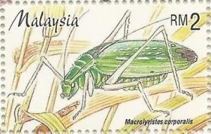 Colnect-2668-743-Giant-Malaysian-Katydid-Macrolyristes-corporalis.jpg