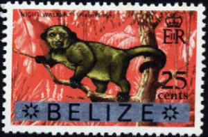 Colnect-2825-741-Kinkajou-Potos-flavus.jpg