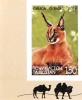 Colnect-1466-273-Carakal-Caracal-caracal.jpg