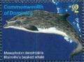 Colnect-3292-872-Blainville%C2%B4s-Beaked-Whale-Mesoplodon-densirostris.jpg