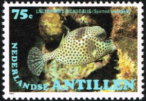 Colnect-2206-521-Spotted-Trunkfish-Lactophrys-bicaudalis.jpg