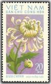 Colnect-1625-656-Cuc-Ngoc-Khong-Tuoc-Chrysanthemum.jpg