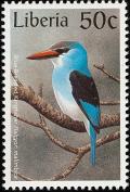Colnect-745-924-Blue-breasted-Kingfisher-Halcyon-malimbica.jpg