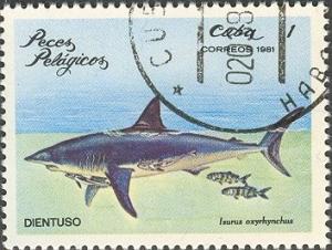 Colnect-666-446-Shortfin-Mako-Shark-Isurus-oxyrinchus.jpg
