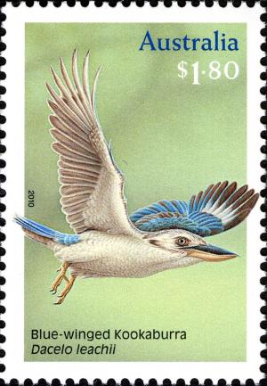 Colnect-910-789-Blue-winged-Kookaburra-Dacelo-leachii-.jpg