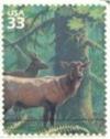 Colnect-201-376-Roosevelt-Elk-Cervus-elaphus-roosevelti.jpg