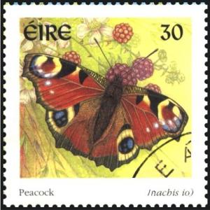 Colnect-1813-221-Peacock-Butterfly-Inachis-io.jpg