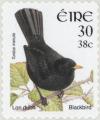 Colnect-129-846-Common-Blackbird-Turdus-merula.jpg