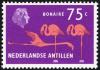 Colnect-2208-171-Flamingoes-Bonaire.jpg