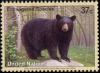 Colnect-2572-967-American-Black-Bear-Ursus-americanus.jpg