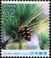 Colnect-5371-552-Japanese-Black-Pine-Pinus-thunbergii.jpg