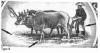 Colnect-5886-963-Malay-Ploughing-back.jpg