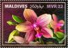 Colnect-6243-185-Phalaenopsis--Liodoro-.jpg