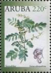 Colnect-6275-000-Senneblar-Senna-alexandrina.jpg