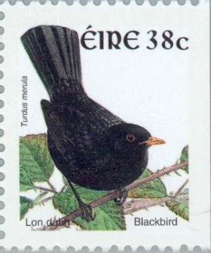 Colnect-129-906-Common-Blackbird-Turdus-merula.jpg