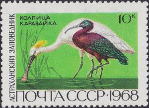 Colnect-3240-527-Eurasian-Spoonbill-Platalea-leucorodia-Glossy-Ibis-Plega.jpg