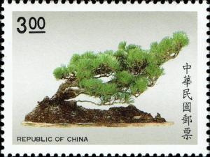 Colnect-4844-130-Japanese-black-pine-Pinus-thunbergii.jpg