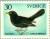 Colnect-163-963-Common-Blackbird-Turdus-merula.jpg