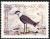 Colnect-1646-643-Spur-winged-Lapwing-Hoplopterus-spinosus.jpg
