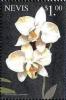 Colnect-4411-209-Phalaenopsis-Aprodite.jpg