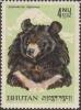 Colnect-1002-644-Himalayan-Black-Bear-Ursus-thibethanus.jpg