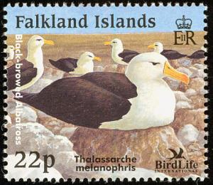 Colnect-1674-627-Black-browed-Albatross-Diomedea-melanophris.jpg