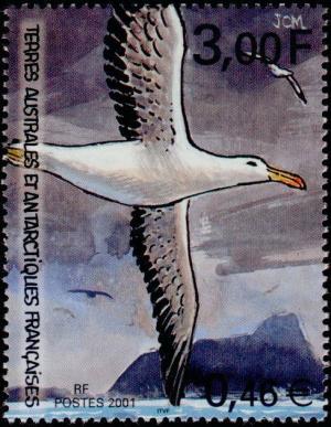 Colnect-887-995-Wandering-Albatross-Diomedea-exulans.jpg