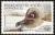 Colnect-1813-128-Light-mantled-Albatross-Phoebetria-palpebrata.jpg