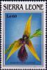 Colnect-4045-833-Bulbophyllum-distans.jpg