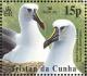 Colnect-4568-625-Atlantic-Yellow-nosed-Albatross-Thalassarche-chlororhyncho%E2%80%A6.jpg