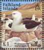 Colnect-1674-635-Black-browed-Albatross-Diomedea-melanophris.jpg
