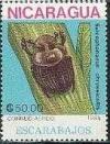 Colnect-1317-805-Beetle-Sulcophanaeus-chryseicollis.jpg
