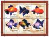 Colnect-1740-460-Breed-Forms-of-Goldfish-Carassius-auratus-auratus-.jpg