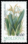 Stamp_of_Moldova_123.gif
