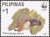 Colnect-1629-243-Philippine-Eagle-nbsp-Pithecophaga-jefferyi.jpg