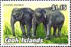 Colnect-1901-472-Asian-Elephant-Elephas-maximus.jpg