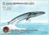 Colnect-3165-377-Blue-Whale-Balaenoptera-musculus.jpg