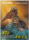 Colnect-3266-433-Little-owl-Athene-noctua.jpg