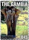 Colnect-3531-869-Asian-Elephant-Elephas-maximus.jpg