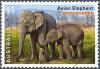 Colnect-3558-728-Asian-Elephant-Elephas-maximus.jpg
